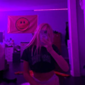 A limited addition brandy Melville cropped tee